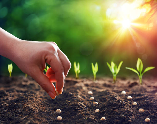 From Seed to Scale: How Startups Can Leverage AI to Win Enterprise Clients